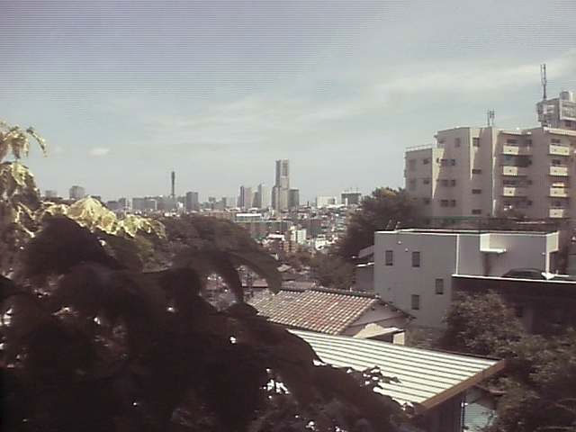参考画像