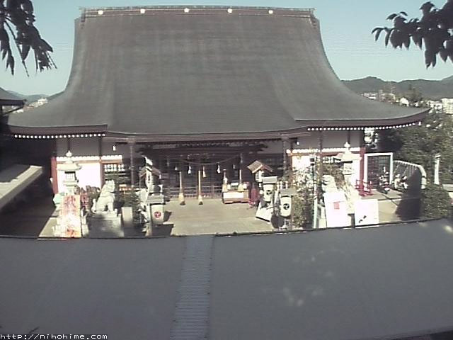 参考画像