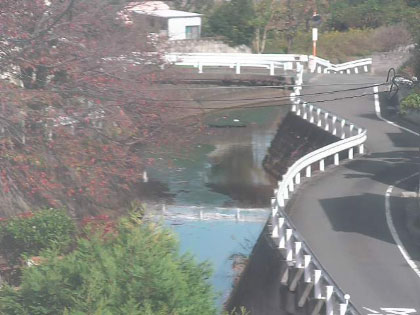 参考画像