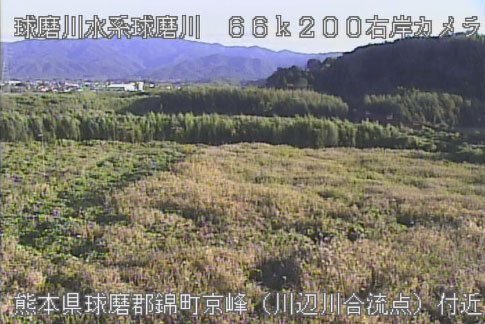 参考画像