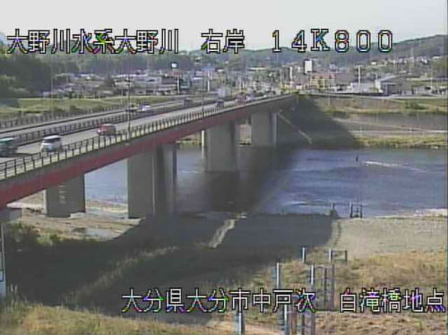 参考画像