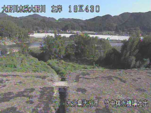 参考画像