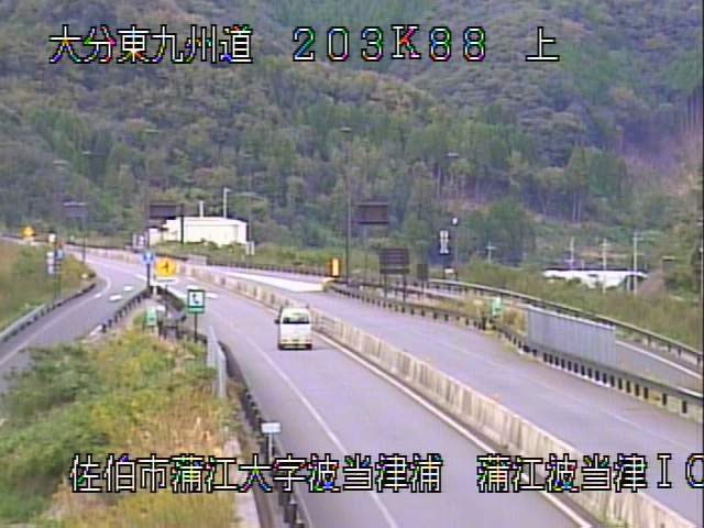 参考画像