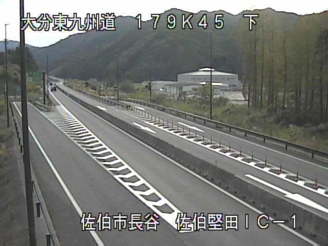 参考画像