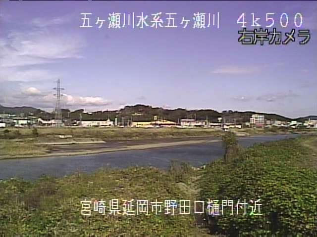 参考画像