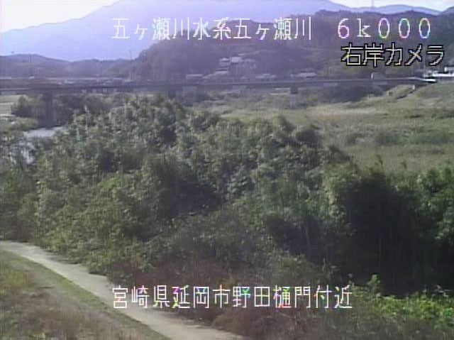参考画像