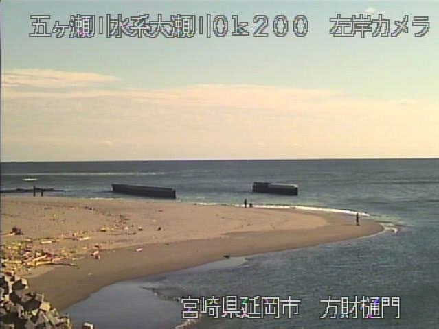 参考画像