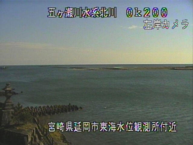 参考画像