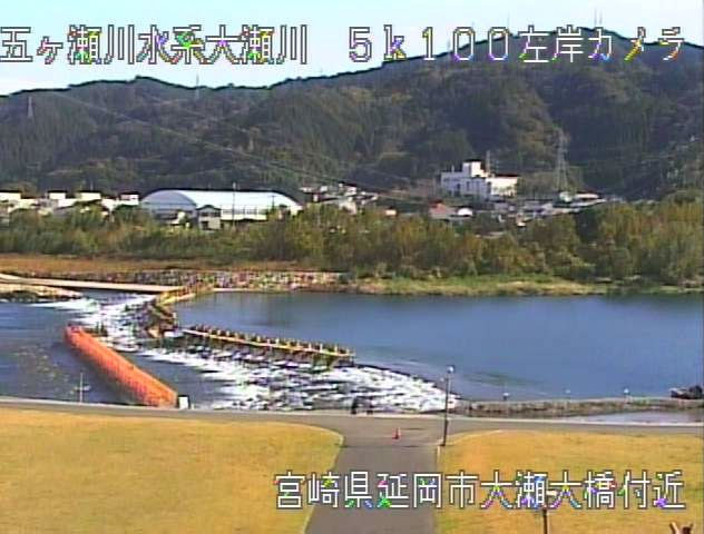 参考画像