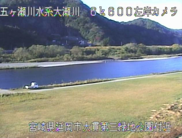 参考画像
