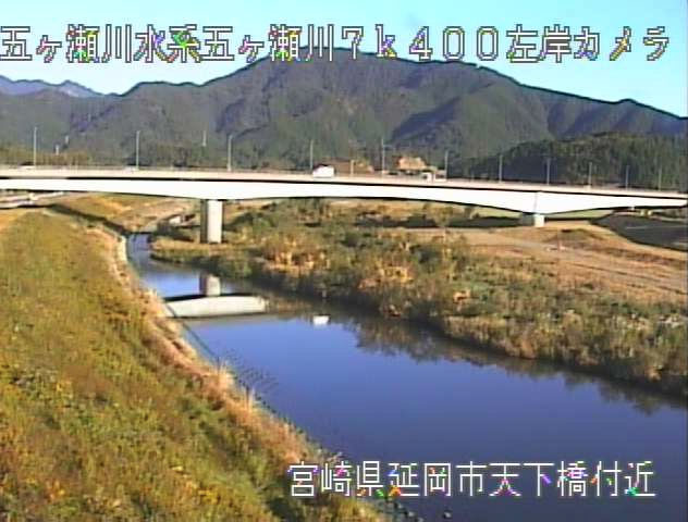 参考画像