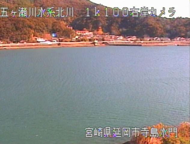 参考画像