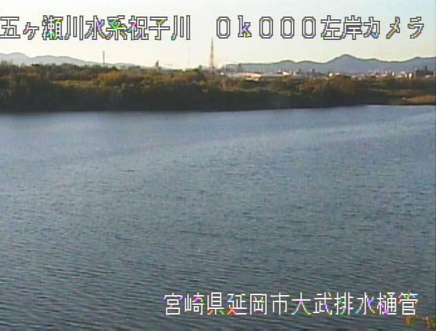 参考画像