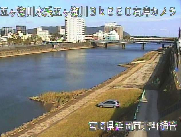 参考画像