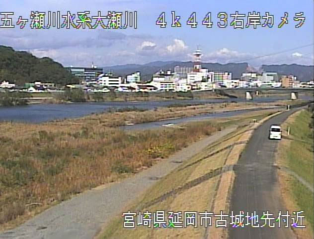 参考画像