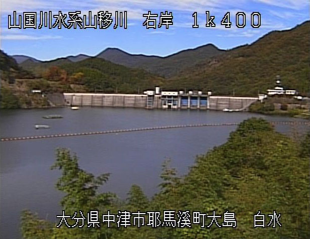 参考画像