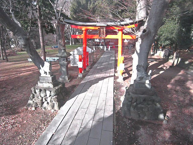 参考画像