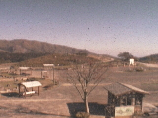 参考画像