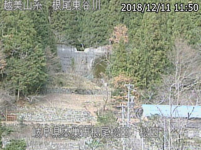 参考画像