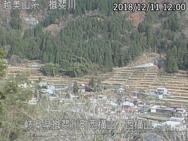 参考画像