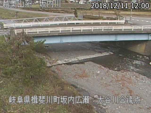 参考画像