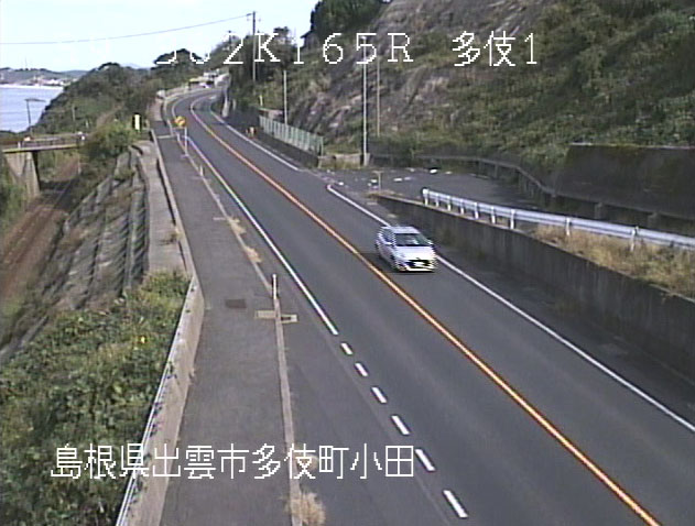 参考画像