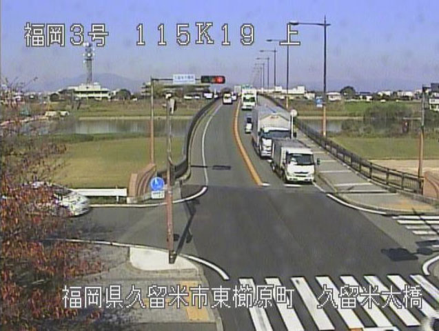 参考画像