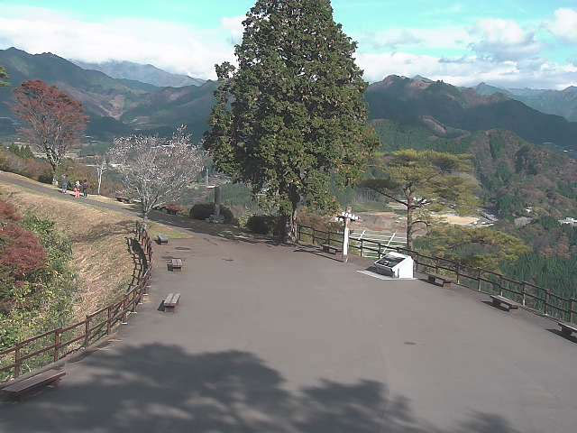 参考画像