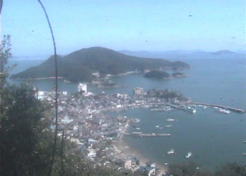 参考画像