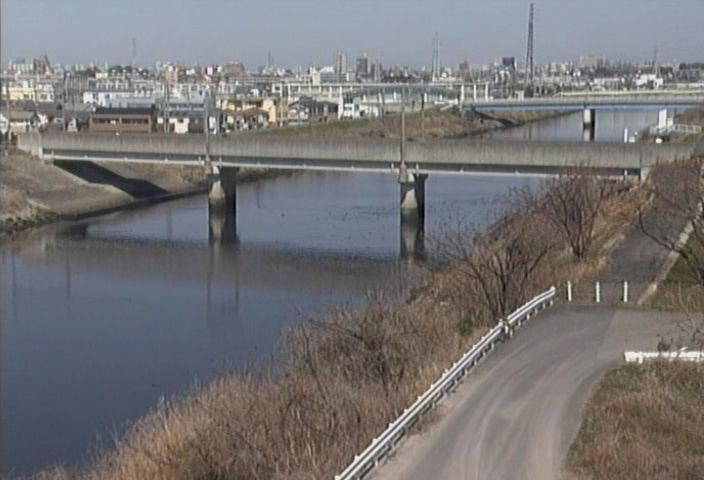 参考画像