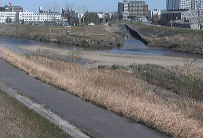参考画像