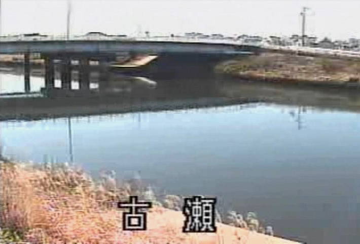 参考画像