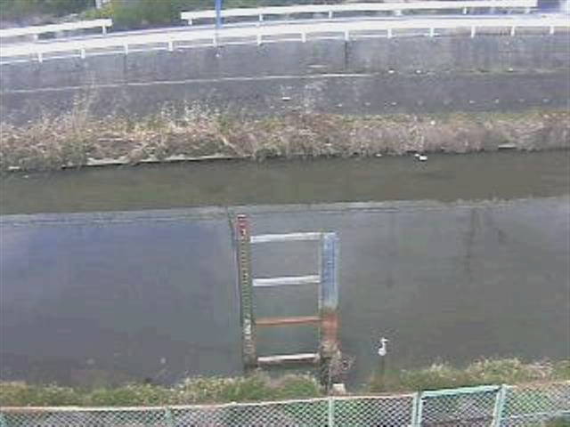 参考画像