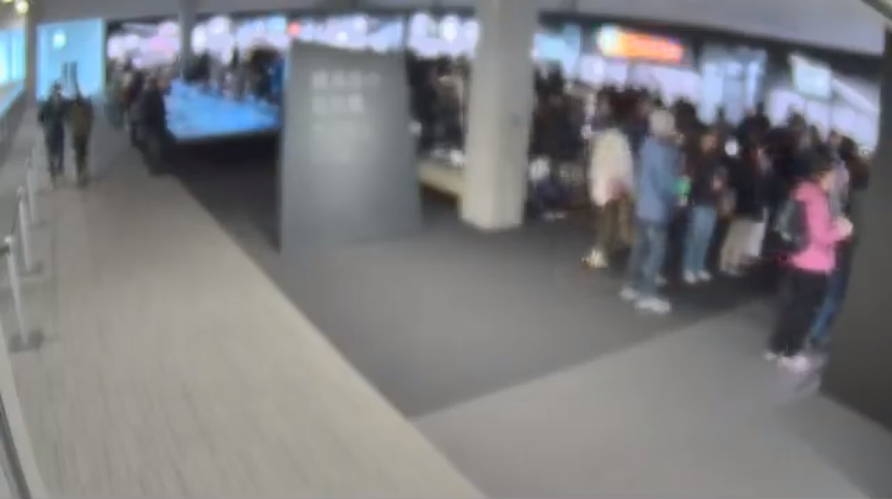 参考画像