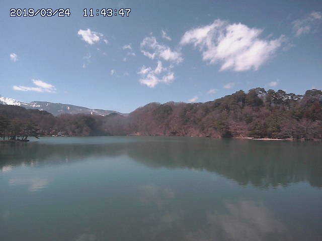 参考画像