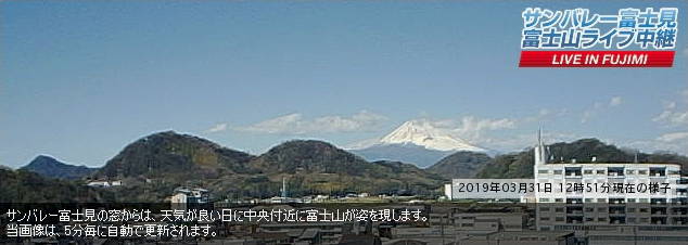 参考画像