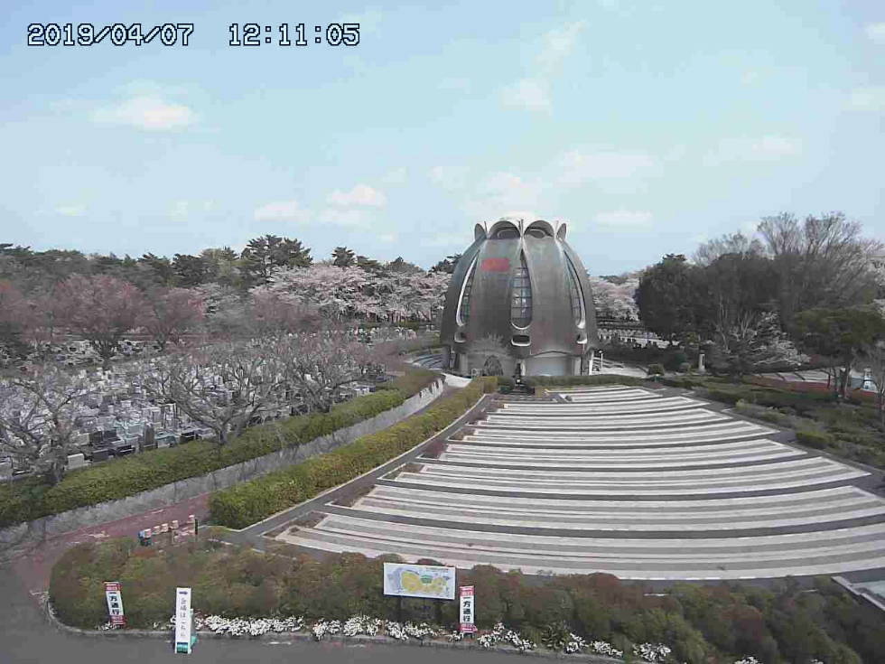 参考画像