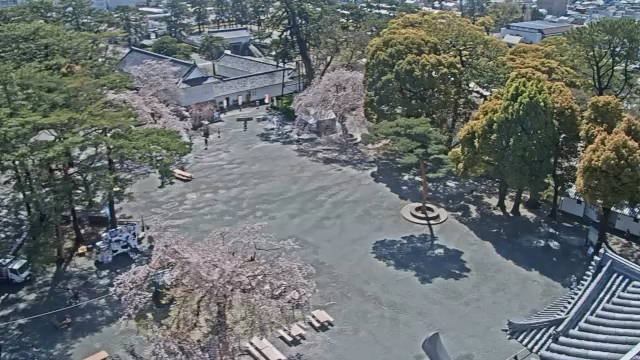 参考画像