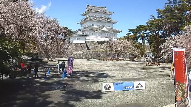 参考画像