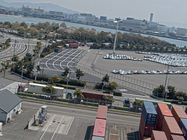 参考画像