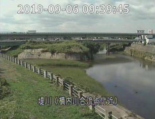 参考画像