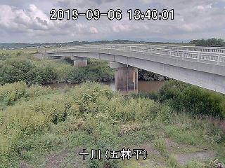 参考画像