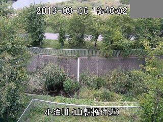 参考画像