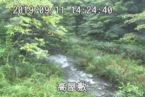 参考画像