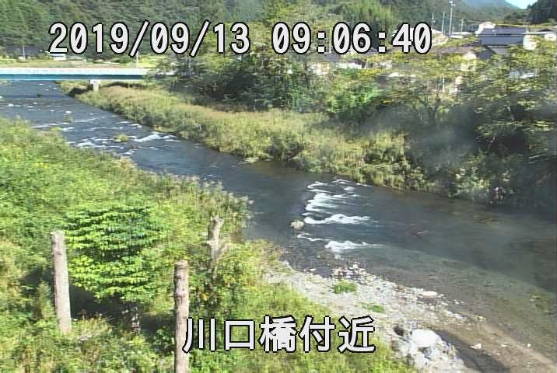 参考画像