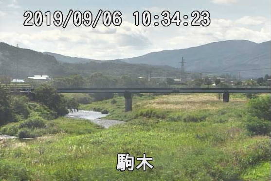 参考画像