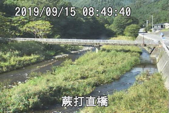 参考画像