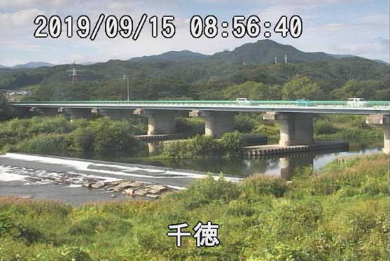 参考画像