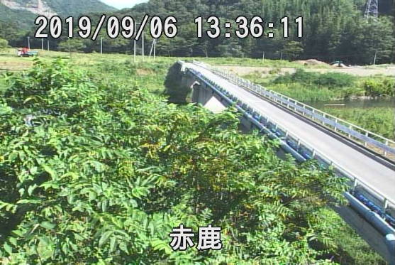 参考画像