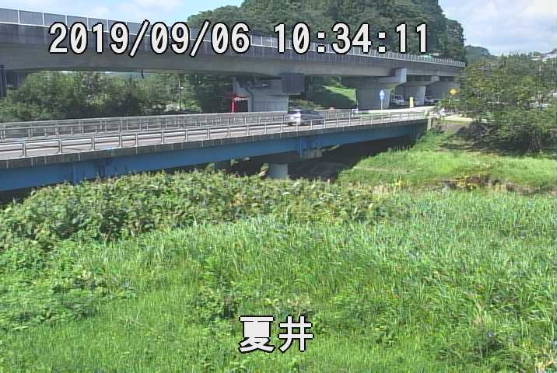 参考画像